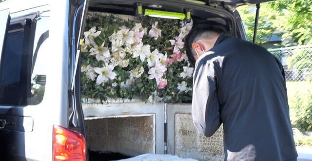 遺骨がきれいに残る