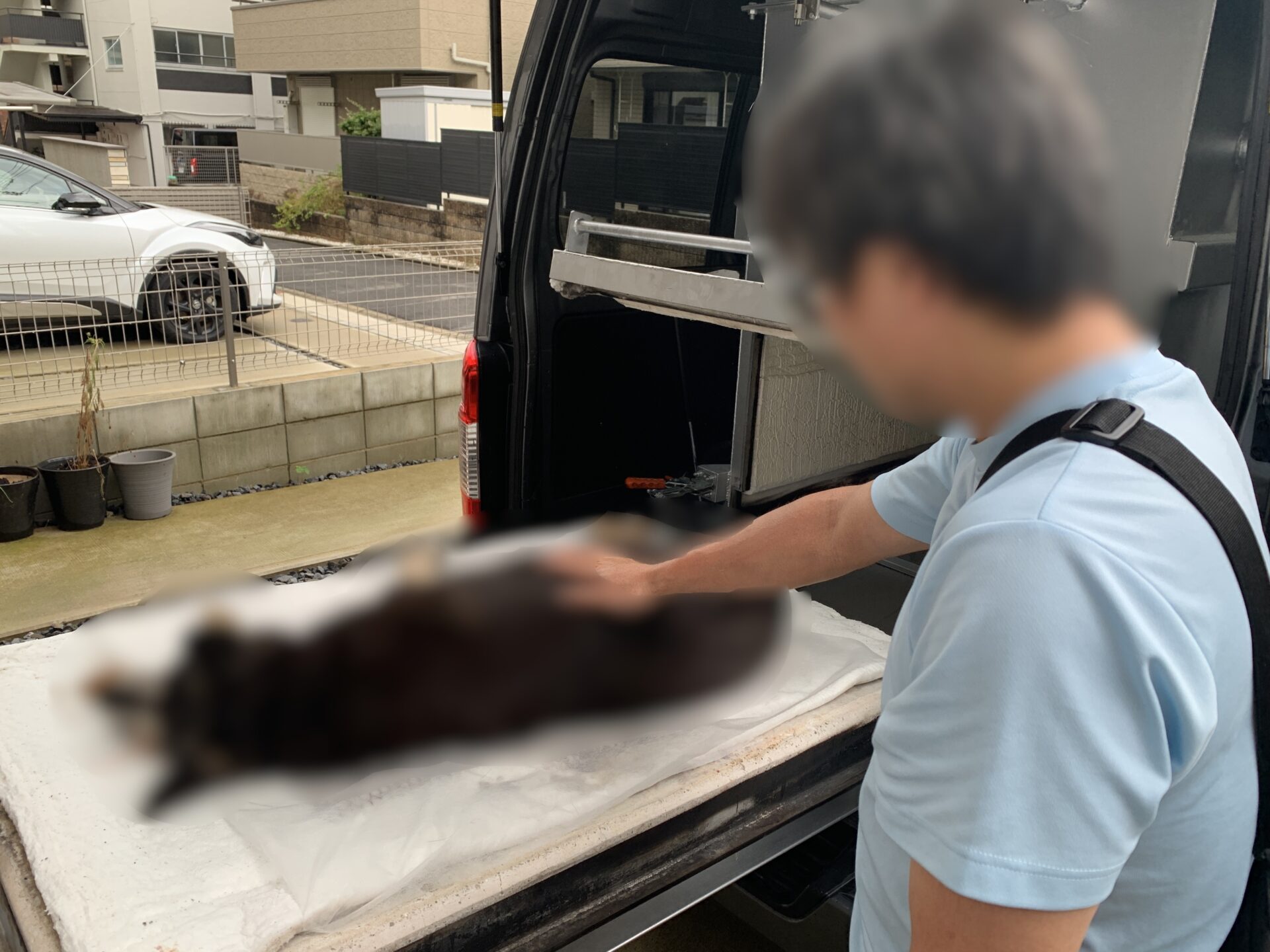 愛知県名古屋市千種区でMIX犬のシェパードちゃんを個別火葬プレミアムで火葬しました