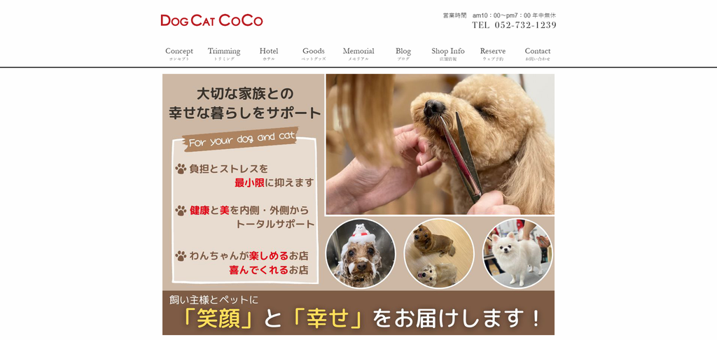 DOGCAT COCO